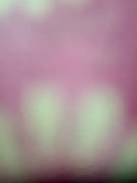 Nandani-758 online show from January 17, 2026, 4:10 pm