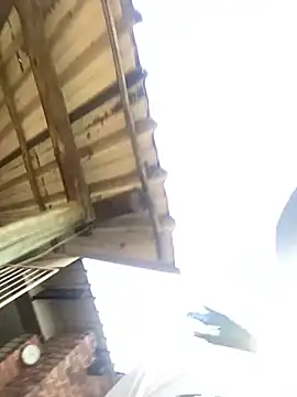 VirginPrincess06 online show from March 30, 2026, 1:01 pm