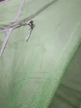 Daily lust online show from February 27, 2026, 7:03 pm