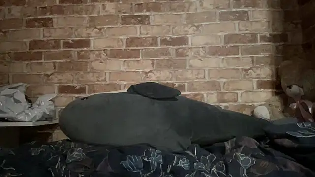 Snapshot of Blair_Reid chatting on November 29, 2025, 4:40 pm Blair Reid online show from November 29, 2025, 4:40 pm