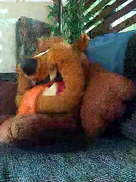 Snapshot of Pirulaibe23 chatting on December 18, 2025, 7:18 pm Pirulaibe23 online show from December 18, 2025, 7:18 pm