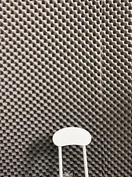 TU-37 online show from November 28, 2025, 8:03 am