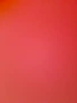 Leonardo240693 online show from July 2, 2026, 5:41 pm