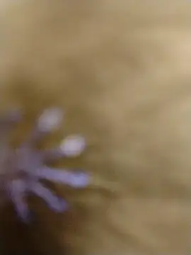 Snapshot of RASHMI_SHARMA9 chatting on February 16, 2026, 4:00 am RASHMI SHARMA9 online show from February 16, 2026, 4:00 am