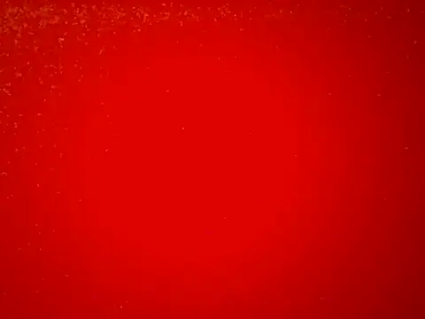 Londy170 online show from December 21, 2025, 9:00 am