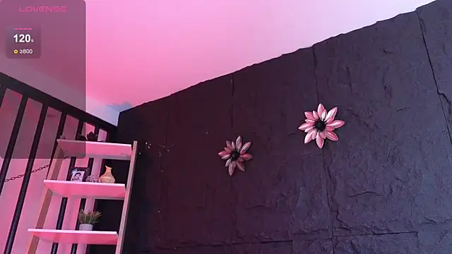 Paulo 527 online show from January 12, 2026, 8:47 pm