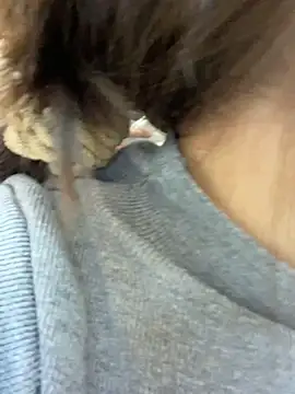 Snapshot of DMG-41 chatting on December 19, 2025, 6:38 am DMG-41 online show from December 19, 2025, 6:38 am