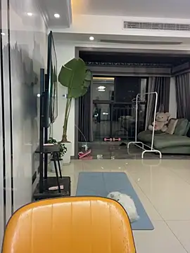 Snapshot of DMG-41 chatting on December 2, 2025, 12:29 pm DMG-41 online show from December 2, 2025, 12:29 pm