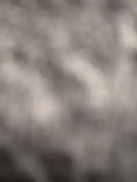 Snapshot of Alpaperve chatting on December 4, 2025, 10:20 pm Alpaperve online show from December 4, 2025, 10:20 pm