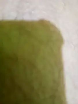 Snapshot of hectorpuga9 chatting on March 5, 2026, 10:48 pm hectorpuga9 online show from March 5, 2026, 10:48 pm