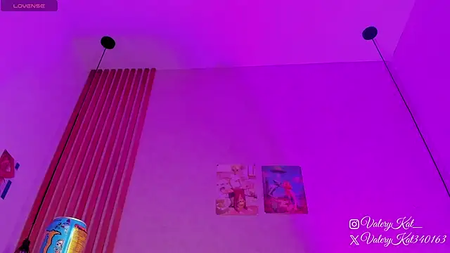 Valerykat  online show from February 13, 2026, 11:32 am