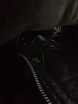 Snapshot of Katia-LS chatting on November 30, 2025, 7:14 pm Katia-LS online show from November 30, 2025, 7:14 pm