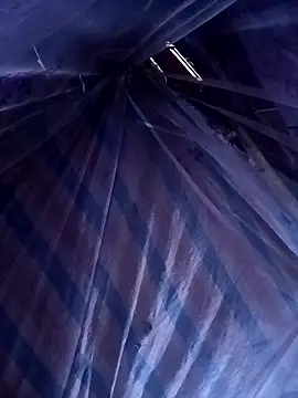 ava-dellght online show from April 14, 2026, 6:07 am