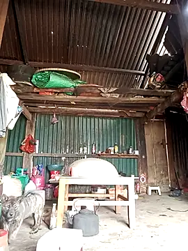 Snapshot of sary-hot2x chatting on March 26, 2026, 5:17 am sary-hot2x online show from March 26, 2026, 5:17 am