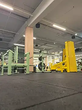 harragas online show from December 16, 2025, 1:21 am