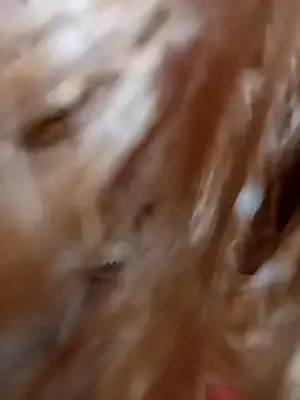 Miina-2000 online show from December 4, 2025, 11:48 pm