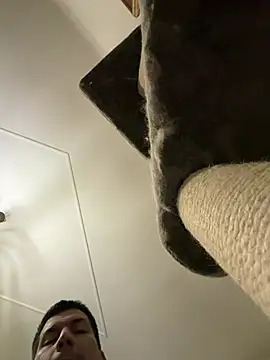 CharlyAlfa22 online show from February 11, 2026, 11:26 pm