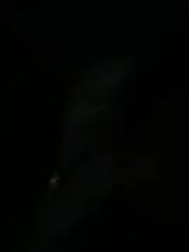 sofia-bae online show from April 1, 2026, 1:30 am