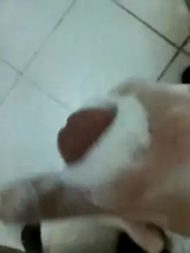 Snapshot of Amoooooun chatting on December 17, 2025, 9:14 am Amoooooun online show from December 17, 2025, 9:14 am