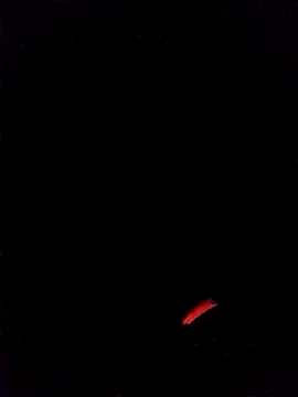 Snapshot of leobct555 chatting on March 22, 2026, 3:10 am leobct555 online show from March 22, 2026, 3:10 am