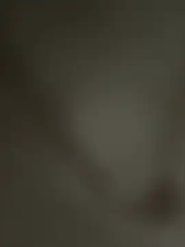 rahul ss21 online show from February 25, 2026, 6:19 pm