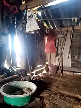 Snapshot of little-effy chatting on March 23, 2026, 1:06 am little-effy online show from March 23, 2026, 1:06 am