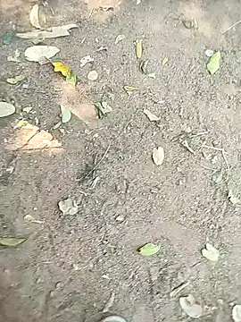 Snapshot of loki-king-143 chatting on January 13, 2026, 5:55 am loki-king-143 online show from January 13, 2026, 5:55 am