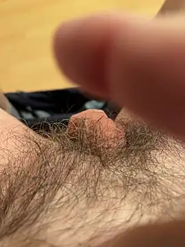 Snapshot of csikar chatting on February 25, 2026, 6:08 pm csikar online show from February 25, 2026, 6:08 pm