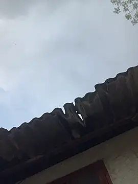 Snapshot of Nika-be chatting on March 27, 2026, 1:14 am Nika-be online show from March 27, 2026, 1:14 am