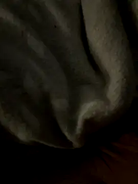 kb20sss online show from December 14, 2025, 12:28 am