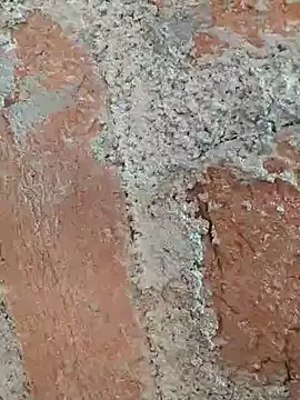 Snapshot of Soniya5533 chatting on December 14, 2025, 9:04 am Soniya5533 online show from December 14, 2025, 9:04 am