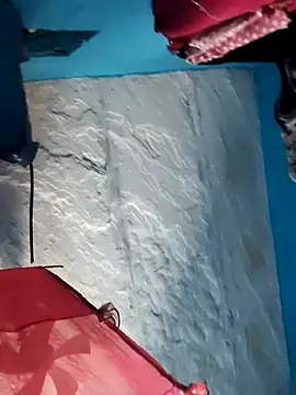 Akanksha soni online show from March 29, 2026, 10:28 am