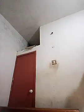 tamilsaisree online show from April 9, 2026, 5:30 pm