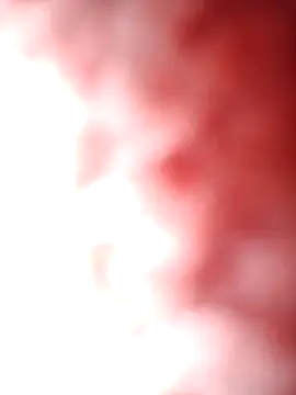 Snapshot of aman4404 chatting on February 11, 2026, 2:44 am aman4404 online show from February 11, 2026, 2:44 am