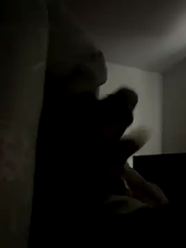 Snapshot of ronalx0 chatting on December 15, 2025, 7:31 pm ronalx0 online show from December 15, 2025, 7:31 pm