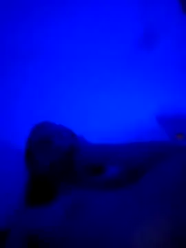 Snapshot of vladopen chatting on January 7, 2026, 5:23 am vladopen online show from January 7, 2026, 5:23 am