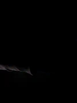 bnglrboy0886 online show from April 22, 2026, 5:31 pm