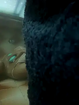 sofi calienta online show from January 6, 2026, 5:28 pm