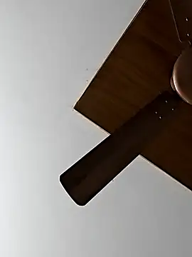 Snapshot of Telugumistress chatting on February 26, 2026, 7:41 am Telugumistress online show from February 26, 2026, 7:41 am