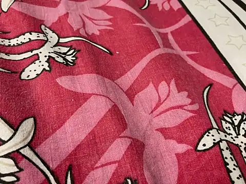 Snapshot of delhi_real_bull chatting on December 17, 2025, 4:23 pm delhi real bull online show from December 17, 2025, 4:23 pm