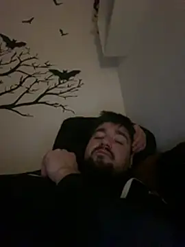 LienalWarplane online show from February 26, 2026, 2:00 am