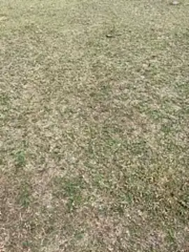 Tamilpaiyan07 online show from February 1, 2026, 3:49 am