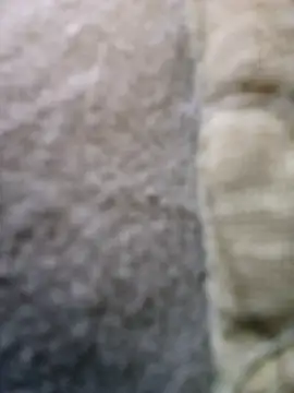 FragrantToe529 online show from February 16, 2026, 5:44 pm