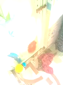 Snapshot of Hooghlypinkivabi chatting on January 10, 2026, 7:36 am Hooghlypinkivabi online show from January 10, 2026, 7:36 am