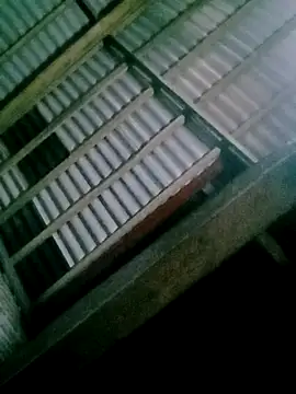 DIANAKUTE online show from February 12, 2026, 1:33 pm