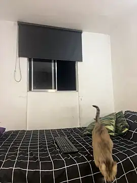 itselladoll online show from February 22, 2026, 7:55 am