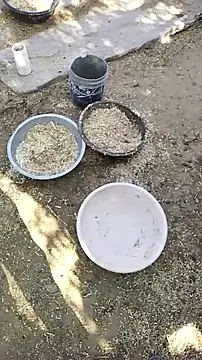 hornycouple20000 online show from April 9, 2026, 3:41 am