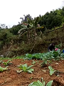 Snapshot of Hiniyk2 chatting on February 13, 2026, 1:38 am Hiniyk2 online show from February 13, 2026, 1:38 am