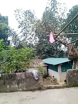 Snapshot of muamua99 chatting on January 17, 2026, 12:15 am muamua99 online show from January 17, 2026, 12:15 am