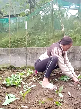 Snapshot of muamua99 chatting on February 11, 2026, 9:31 am muamua99 online show from February 11, 2026, 9:31 am